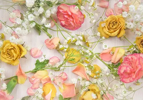 Graphic Design - img